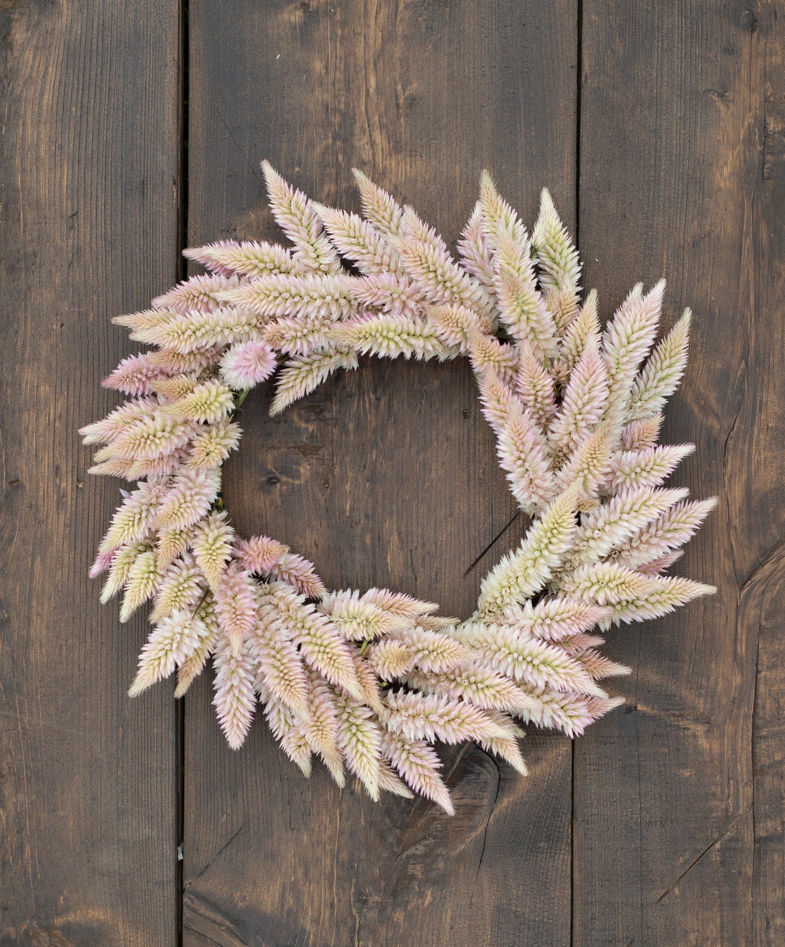 Everlasting Full Wreath